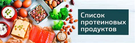 Важность белковых продуктов для разнообразного питания