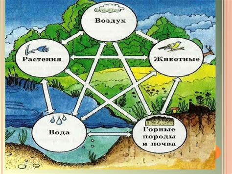 Взаимосвязь женской природы с подсознательными желаниями