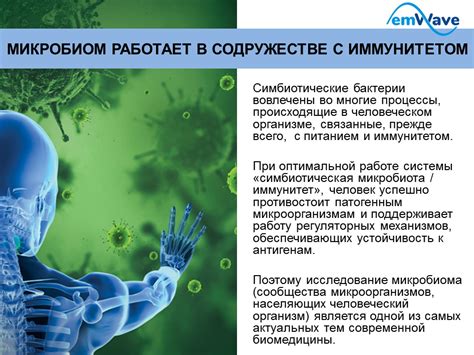 Влияние дисбаланса микробиома на состав микроорганизмов