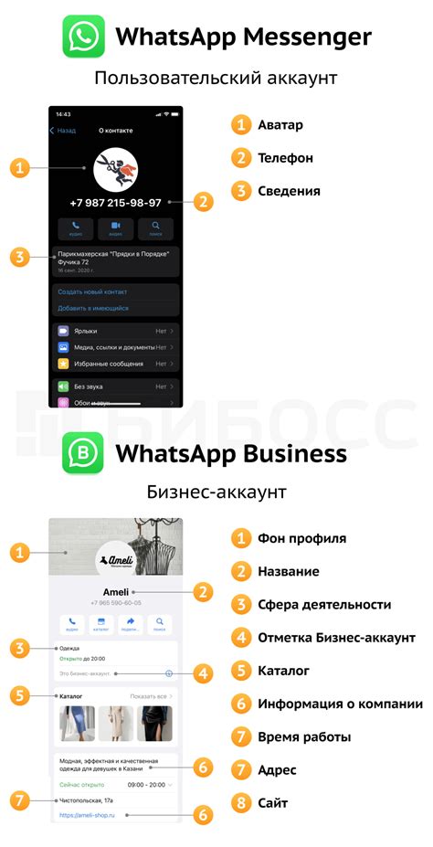 Влияние инновационной функциональности в WhatsApp на бизнес-сферу