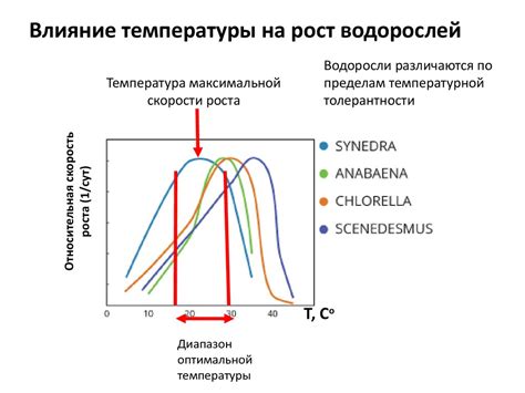 Влияние низких температур на состояние поверхности снега