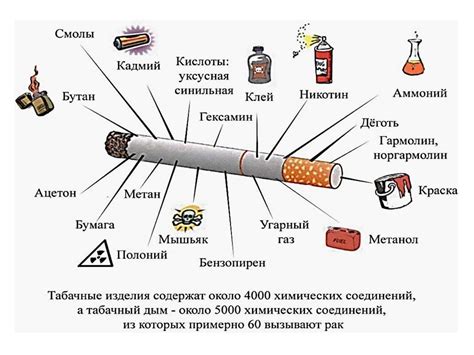 Влияние табачного дыма и спиртных напитков на уровень ингибина у мужчин