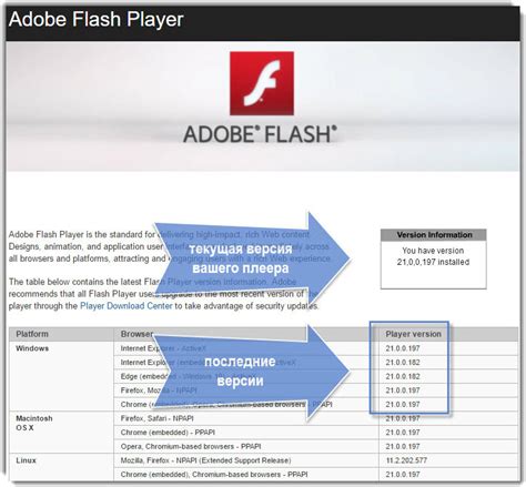 Возможности настройки и обновления ПО Adobe Flash Player для оптимальной работы