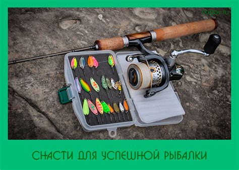 Выбор и подготовка бланка: советы для успешной рыбалки