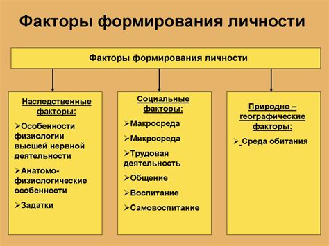 Генетическая уникальность каждого индивида: факторы, определяющие индивидуальность