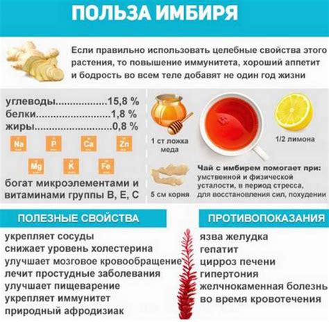 Дополнительные благотворные свойства имбиря и лимона для укрепления здоровья