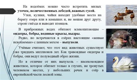Значение снов, где человек расположен в прозрачной водной среде