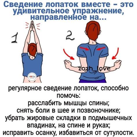 Значимость тренировок спины для устранения накопленного жира