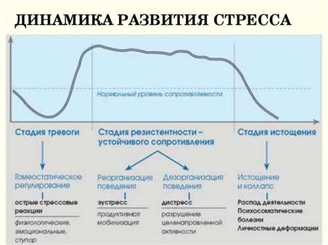 Импульсивная реакция на стресс и тревогу: обращение внимания на действие с нижней губой