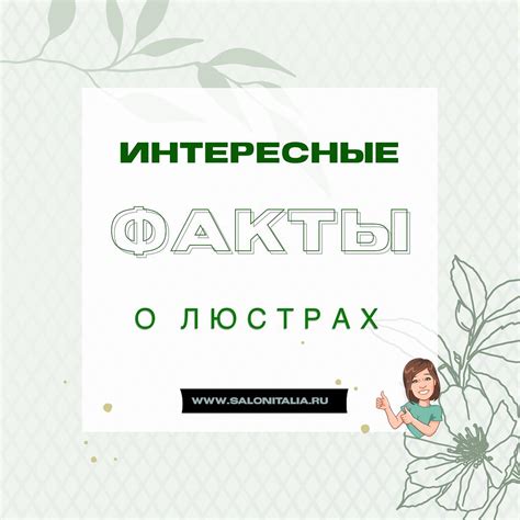 Интересные факты о популярном устройстве шахвилини и его применении в различных странах