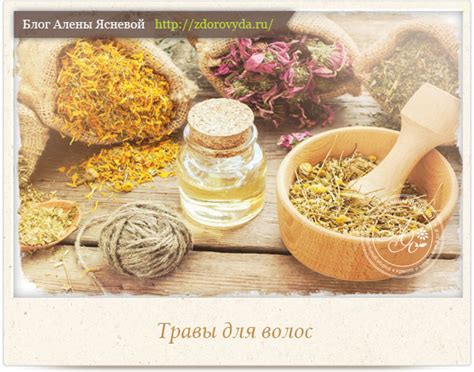 Использование природных компонентов для ухода за кожей и волосами
