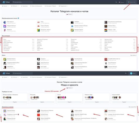 Используйте поиск сообществ и каналов по интересующим вас темам