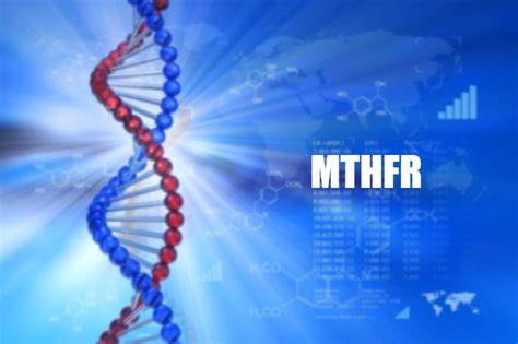 Исследования генетических изменений в гене MTHFR и их влияние на обмен фолатами