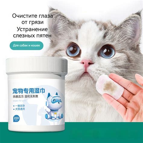 Как подобрать безопасные и эффективные средства для очистки глаз у вашей питомицы