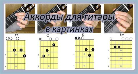 Как спасти гитару от дождя