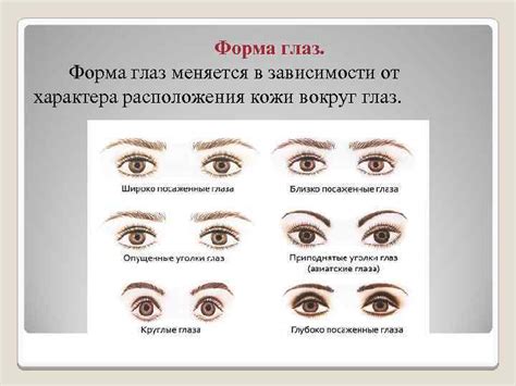 Как форма и размер глаз воздействуют на коммуникацию и впечатление, производимое на окружающих