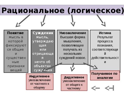 Категоризация инвентаря: логическое упорядочивание вещей