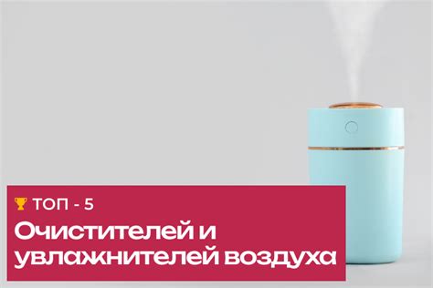 Места приобретения увлажнителей-очистителей и основные критерии выбора