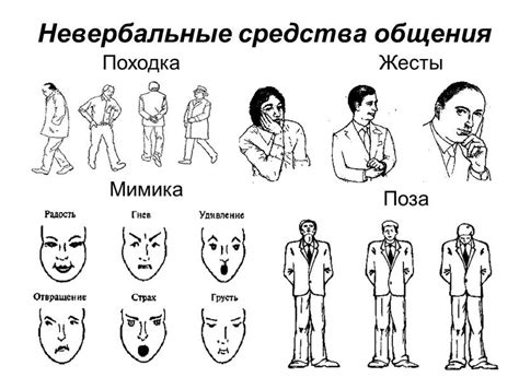 Наблюдение за неловкими паузами и изменением мимики: сигналы, указывающие на недостоверность