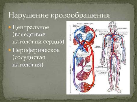 Нарушение кроветворения и сосудистая патология