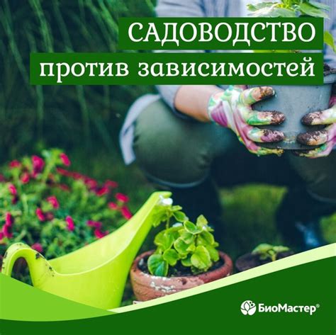 Нежное общение с природой: садоводство и уход за растениями