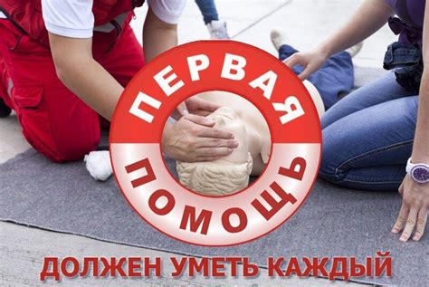 Оказание первой помощи поцарапанному питомцу