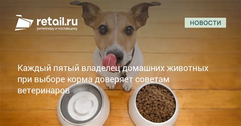 Опасности в пище: осторожность при выборе блюд для домашних животных