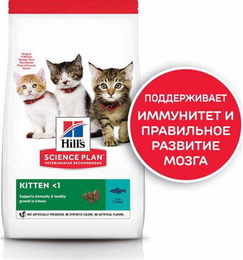 Оптимальное питание для здоровья и развития котят
