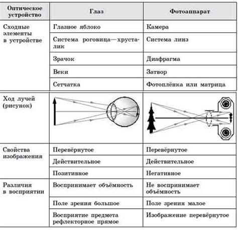 Оптическое затемнение глаз: смысл и истинная природа процесса