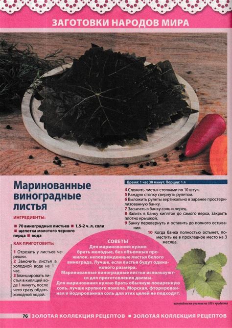 Оригинальный способ продлить радость осени: незабываемые маринованные вкусняшки