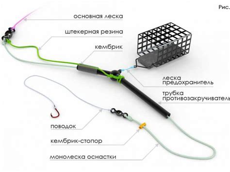 Основные виды снастей для поимки карпа