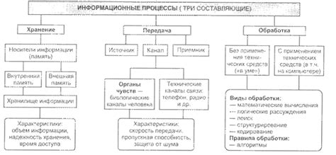 Основные виды хранилищ информации