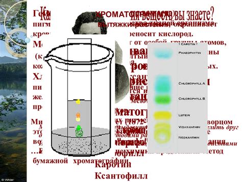 Основные методы применения пигментов на конфеты
