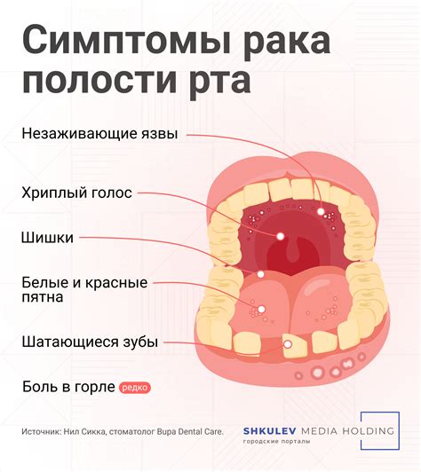 Основные признаки, на которые следует обратить внимание при определении неправды