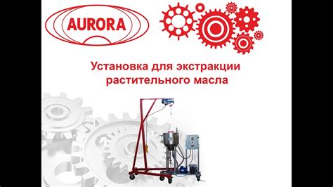 Основные принципы для установки эффектного афрохвоста