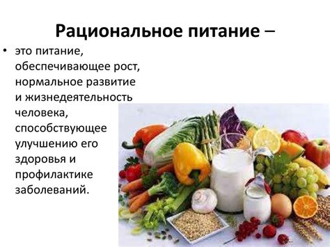 Основные принципы и рекомендации по питанию маленьких кошечек