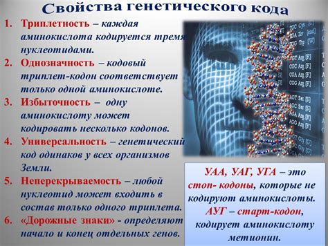 Основные свойства кода 3023