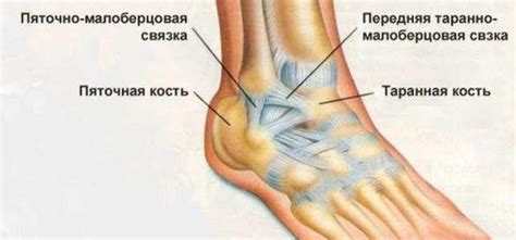 Основные способы восстановления при растяжении голеностопного сустава