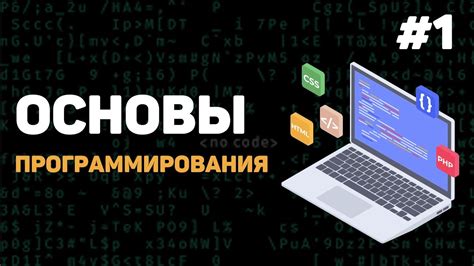 Основы программирования: как познакомиться с этим искусством и что изучать