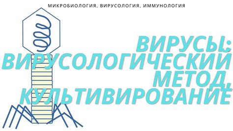 Основы устранения вирусной активности СПК