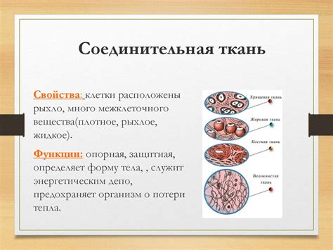 Особенности структуры псалтиря