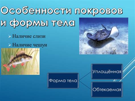 Подготовка игрового мира: шаги к возникновению водной жизни