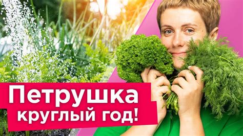 Полезные рекомендации для успешного преобразования данных в статистике