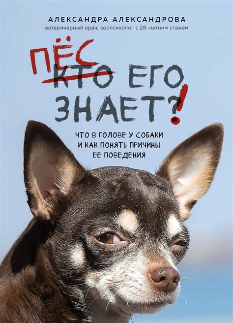 Понять причины ее поведения