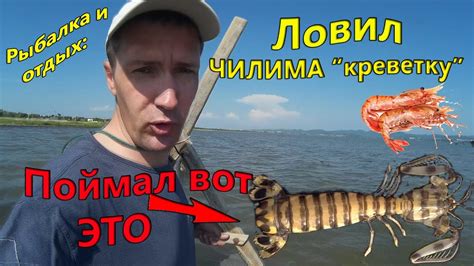 Правила и сезоны рыбалки с самодельной ловушкой