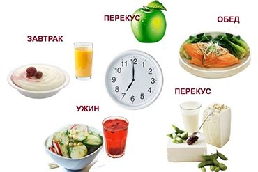 Правильное питание и гидрация: залог здоровья и красоты