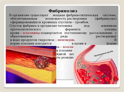 Превращение овощей под влиянием духовки: перед и после