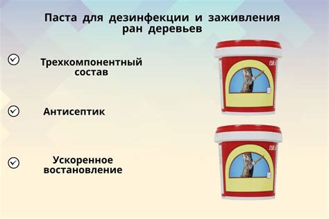 Применение инновационных силиконовых гелей для ускорения процесса регенерации тканей