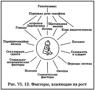 Примите во внимание факторы, влияющие на развитие ландышей в естественной среде