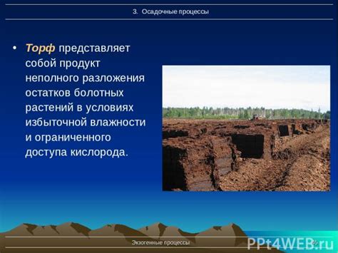 Причины избыточной влажности в приватной резиденции